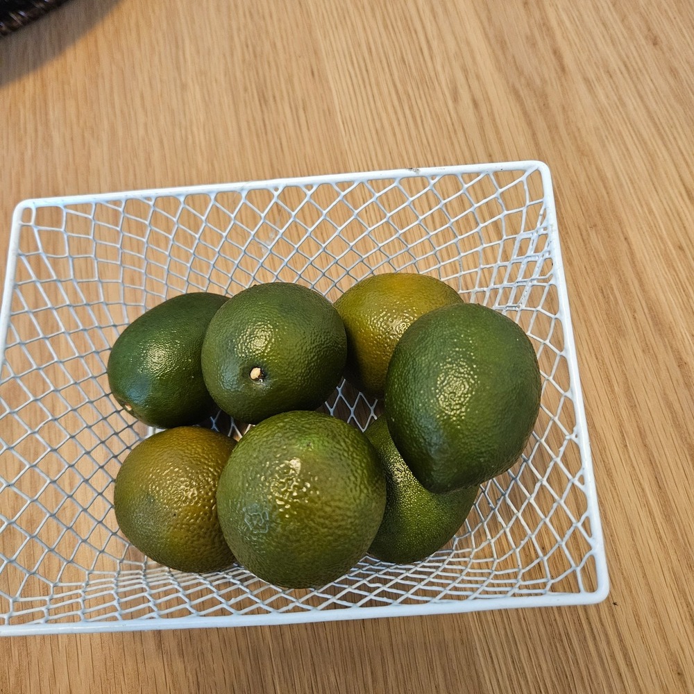 Lot Of 7 Artificial Faux Plastic Limes Realistic Home Decor Prop Staging